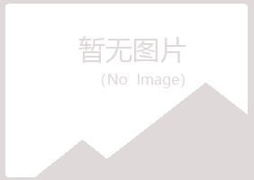 阳山县友绿建设有限公司